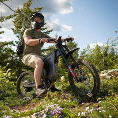 Freego X2 Pro All-Terrain Dirt Electric Bike