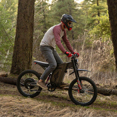 Freego X2 Pro All-Terrain Dirt Electric Bike