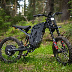 Freego X2 Pro All-Terrain Dirt Electric Bike