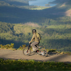 Freego X2 Pro All-Terrain Dirt Electric Bike
