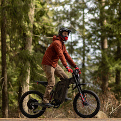 Freego X2 Pro All-Terrain Dirt Electric Bike