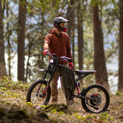 Freego X2 Pro All-Terrain Dirt Electric Bike