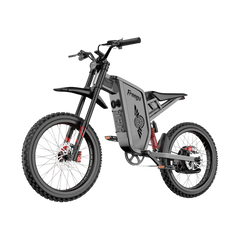 Freego X2 Pro All-Terrain Dirt Electric Bike
