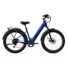 TENWAYS Wayfarer 750W Electric Bike