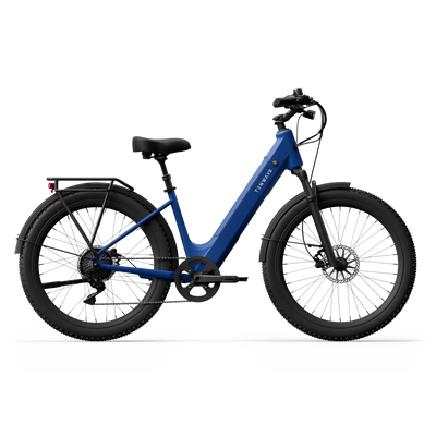 TENWAYS Wayfarer 750W Electric Bike