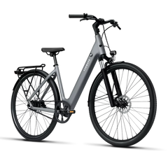 TENWAYS CGO800S Electric Bike