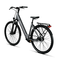 TENWAYS CGO800S Electric Bike