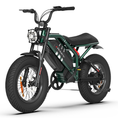 Raev Bullet GT V2 E-Bike