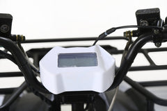 Tao Motor Bull 200S Adult-Sized ATV