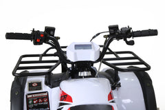 Tao Motor Bull 200S Adult-Sized ATV