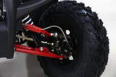 Tao Motor Bull 200S Adult-Sized ATV