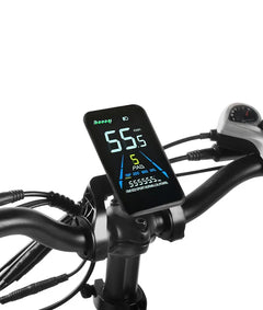 Victrip TITAN S 1000W Long Range E-Bike