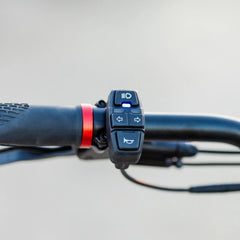 Kaabo King GTR Electric Scooter