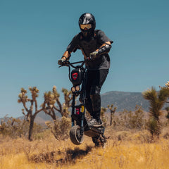 Kaabo Warrior 11 Pro + Electric Scooter