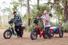 Rattan Pinus Fat Tire 750W Electric Bike