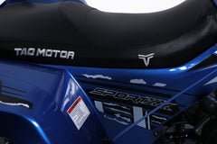 Tao Motor G200 Adult Sized Utility ATV