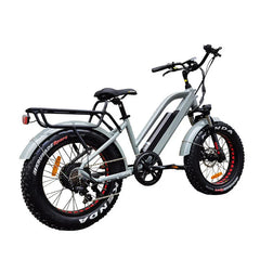 Volt Motions TrailSurge 500 Folding Fat Tire E-Bike