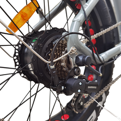 Volt Motions TrailSurge 500 Folding Fat Tire E-Bike