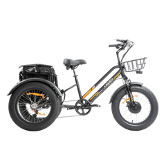 ZEUS 3 Wheel Fat Tire Electric Trike by DW Meigi