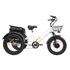 ZEUS 3 Wheel Fat Tire Electric Trike by DW Meigi