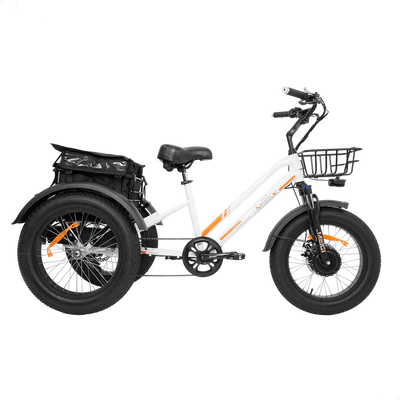 ZEUS 3 Wheel Fat Tire Electric Trike by DW Meigi