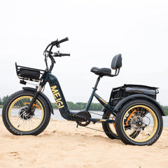SILVERADO-HD Fat Tire Electric Tricycle by DW Meigi