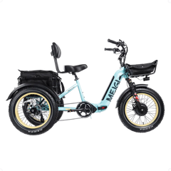 SILVERADO-HD Fat Tire Electric Tricycle by DW Meigi