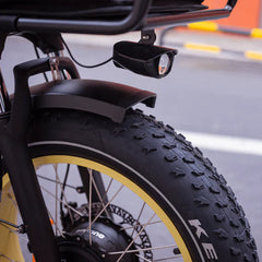 SILVERADO-HD Fat Tire Electric Tricycle by DW Meigi