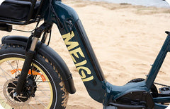 SILVERADO-HD Fat Tire Electric Tricycle by DW Meigi