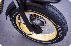 SILVERADO-HD Fat Tire Electric Tricycle by DW Meigi