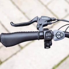 SILVERADO Urban Electric Tricycle by DW Meigi
