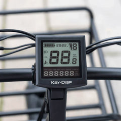 SILVERADO Urban Electric Tricycle by DW Meigi