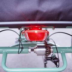 BLAZER Full Suspension Electric Tricycle by DW Meigi