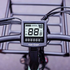 BLAZER Full Suspension Electric Tricycle by DW Meigi