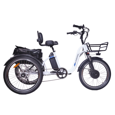 BLAZER Full Suspension Electric Tricycle by DW Meigi