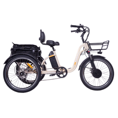 BLAZER Full Suspension Electric Tricycle by DW Meigi