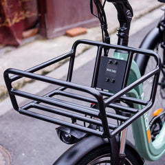 BLAZER Full Suspension Electric Tricycle by DW Meigi
