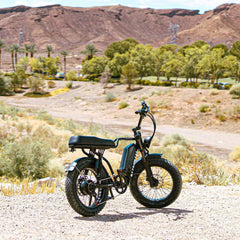 Nakto F2 Electric Bike 750W Motor - Black