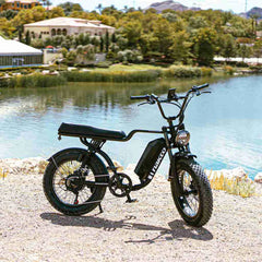Nakto F2 Electric Bike 750W Motor - Black