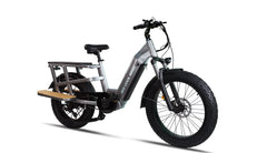 Bee Runner Long-Tail Cargo Electric Bike