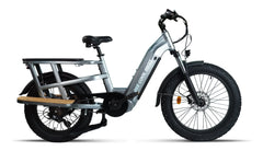 Bee Runner Long-Tail Cargo Electric Bike