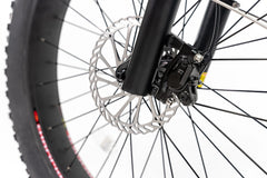 Bee Pathfinder Step-Thru Full Suspension Long Range Electric Bike