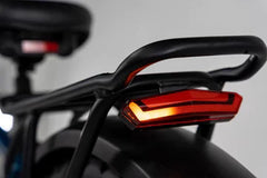 Bee Pathfinder Step-Thru Full Suspension Long Range Electric Bike