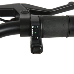 Eunorau EKIDS20 1.0 Electric Bike