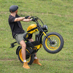HappyRun G100 Pro 6000W Electric Bike Dual Battery