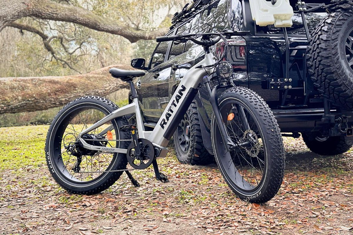 Rattan Sequoia Fat Tire 750W Electric Bike
