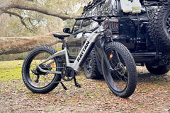 Rattan Sequoia Fat Tire 750W Electric Bike