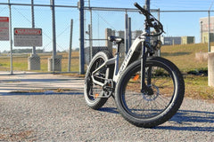 Rattan Sequoia Fat Tire 750W Electric Bike