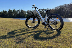 Rattan Sequoia Fat Tire 750W Electric Bike