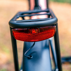 Eunorau META24 1.0 Electric Bike